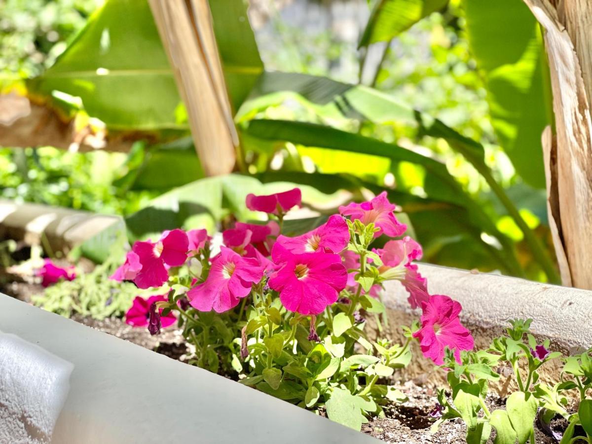 Marbella Real Golden Mile -Eaw Homes 外观 照片